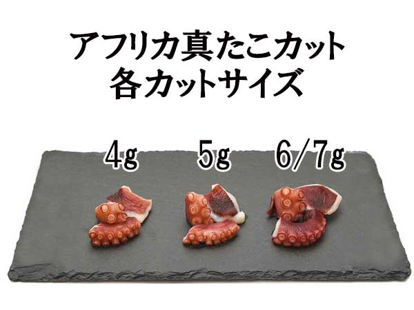 アフリカ　真たこカット　サイズ　一覧